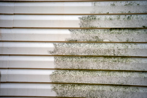 How To Choose The Right Materials for Your Siding Installation in 'Montgomery, AL